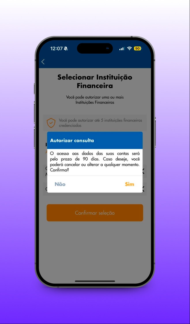 Décimo primeiro passo: Leia a confirmação do Pop-Up e clique em 'Sim'
